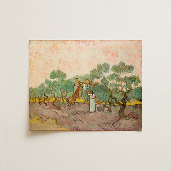 Women Picking Olives - Vincent Van Gogh Art Print / Canvas Reproduction Gogh’s ?The Olive Grove” Brushstrokes, Tumultuous Psyche Prints