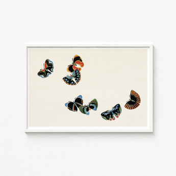 Framed Artwork Collection Intricately Illustrated Butterflies Vibrant Hues Kamisaka Sekka, Sekka’s Woodblock, Meiji