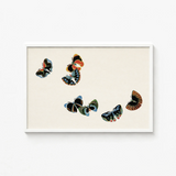 Framed Artwork Five Stylized Butterflies Intricate Patterns Black Kamisaka Sekka, Sekka’s Woodblock, Meiji
