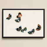 Woodblock Butterflies - Kamisaka Sekka Art Print / Canvas, 18x12’’ / 46x31cm / Black Frame, Posters Prints & Visual Artwork, Toby Leon