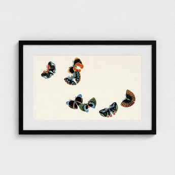 Woodblock Butterflies - Kamisaka Sekka Art Print / Canvas Black-framed Artwork Collection Stylized Vibrant Colors Orange, Sekka’s, Meiji
