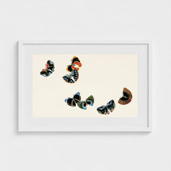 Woodblock Butterflies - Kamisaka Sekka Art Print / Canvas Framed Artwork Five Stylized Vibrant Colors Black, Sekka’s, Meiji Prints