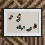 Woodblock Butterflies - Kamisaka Sekka Art Print / Canvas Black-framed Artwork Five Colorful Stylized Beige Background, Sekka’s, Meiji