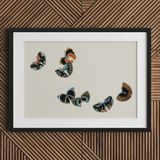 Woodblock Butterflies - Kamisaka Sekka Art Print / Canvas Black-framed Artwork Five Colorful Stylized Butterflies Beige Background Kamisaka