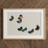 Woodblock Butterflies - Kamisaka Sekka Art Print / Canvas Framed Artwork Five Colorful Intricately Designed Beige, Sekka’s, Meiji Prints