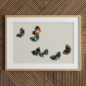 Woodblock Butterflies - Kamisaka Sekka Art Print / Canvas Framed Artwork Five Colorful Intricately Designed Butterflies Beige Kamisaka