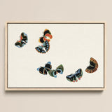 Woodblock Butterflies - Kamisaka Sekka Art Print / Canvas Framed Artwork Five Intricately Designed Butterflies Vibrant Colors Kamisaka