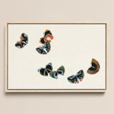 Woodblock Butterflies - Kamisaka Sekka Art Print / Canvas Framed Artwork Five Intricately Designed Vibrant Colors, Sekka’s, Meiji Prints