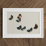 Woodblock Butterflies - Kamisaka Sekka Art Print / Canvas Framed Artwork Five Intricately Illustrated Vibrant Hues, Sekka’s, Meiji Prints