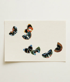 Rectangular Sheet Paper Five Intricately Designed Butterfly Illustrations Kamisaka Sekka, Sekka’s Woodblock Butterflies, Meiji