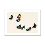 Woodblock Butterflies - Kamisaka Sekka Art Print, Colorful Butterflies Black Blue Orange Patterns