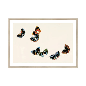 Woodblock Butterflies - Kamisaka Sekka Art Print, Framed Artwork Colorful Butterflies Flight