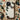 Woodblock Butterflies - Kamisaka Sekka Phone Case Sekka’s, Meiji