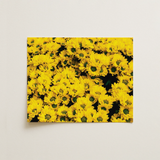 Yellow Brick Road - Vietnam Flower Bed Art Print / Canvas, 14x11’’ / 36x28cm / Unframed / no Border, Posters Prints & Visual Artwork, Toby