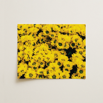 Yellow Brick Road - Vietnam Flower Bed Art Print / Canvas, 14x11’’ / 36x28cm / Unframed / no Border, Posters Prints & Visual Artwork, Toby