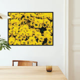Yellow Brick Road - Vietnam Flower Bed Art Print / Canvas Vibrant Floral Artwork Sleek Black Frame Hangs Chrysanthemum-filled,