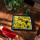 Yellow Brick Road - Vietnam Flower Bed Art Print, Framed Photograph Bright Yellow Chrysanthemums Bloom