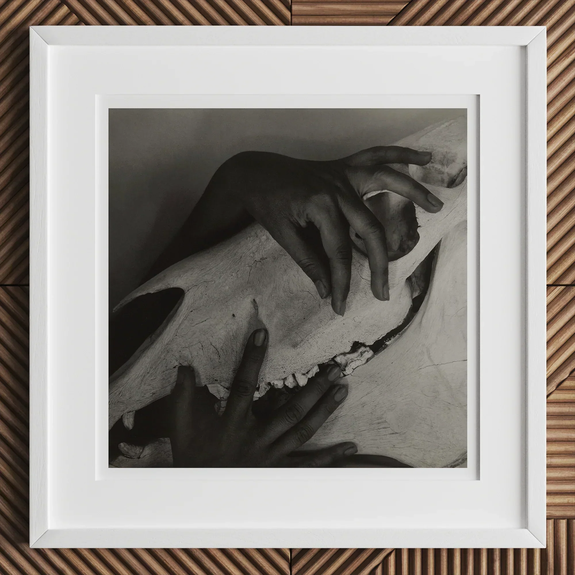 Twin Muses: The Inseperable History of Black & White Art