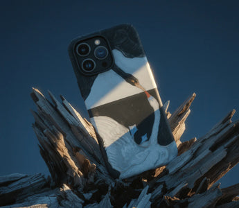 9 Bird iPhone Cases Rewriting Art and Sky