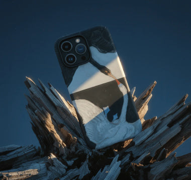 9 Bird iPhone Cases Rewriting Art and Sky