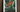 Vibrant orange and red bird of paradise flowers with green leaves inspired by robert john thornton botanical illustrations