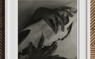 Animal skull with elongated snout held by hands in black and white art history featuring leonardo da vinci and albrecht dürer