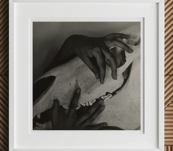 Animal skull with elongated snout held by hands in black and white art history featuring leonardo da vinci and albrecht dürer