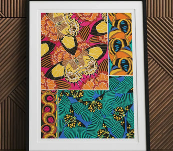 Framed butterfly collage showcasing eugène séguy inspired art nouveau style from diptères du globe collection