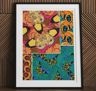 Framed butterfly collage showcasing eugène séguy inspired art nouveau style from diptères du globe collection