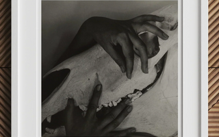 Twin Muses: the Inseperable History of Black & White Art