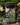 Back of an iPhone with a colorful floral-patterned aesthetic phone case from the aesthetic phone cases collection