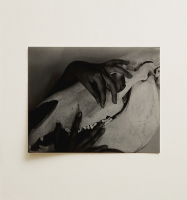 Framed black and white line drawing of floral and organic shapes showcasing mesmerizing duality in monochrome wall art