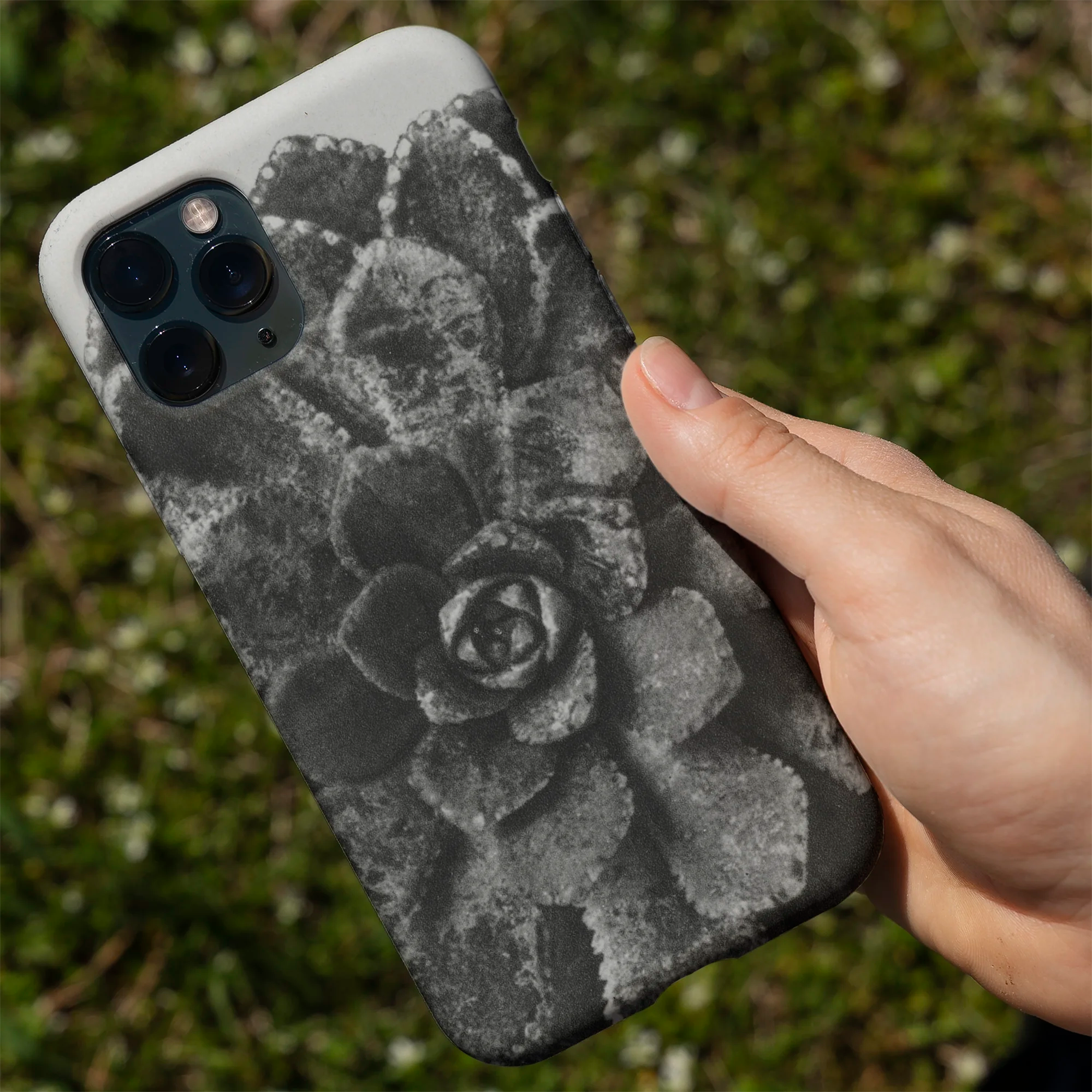 IPhone case with a black and white nature-inspired design featuring spiral shells and pine trees.