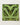 Framed symmetrical pattern created from mirrored images of succulent plants.