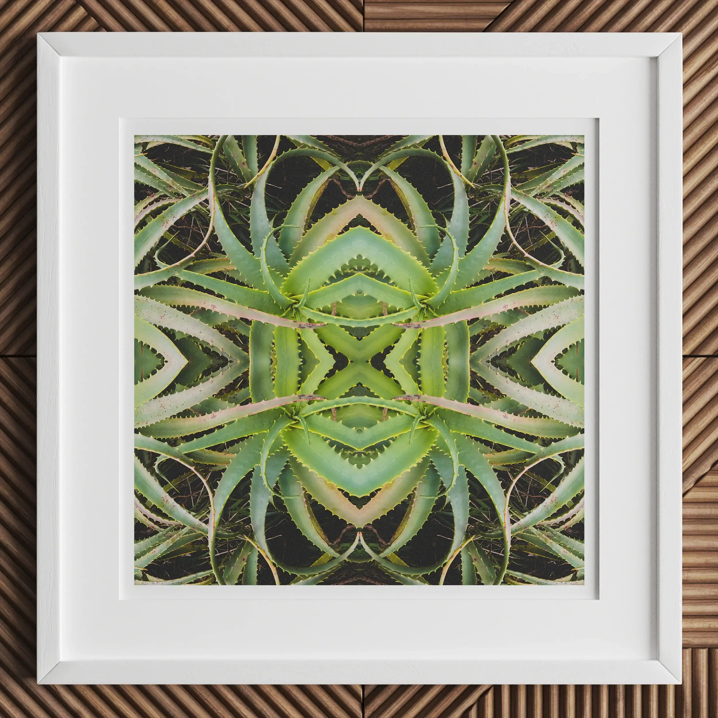 Framed symmetrical pattern created from mirrored images of succulent plants.