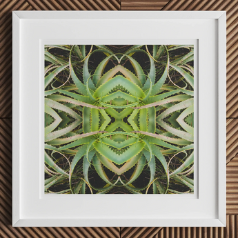 Framed symmetrical pattern created from mirrored images of succulent plants.