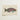 Fish Wall Art showcasing a beautifully detailed illustration of a colorful fish in a white frame.