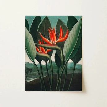 Floral Wall Art featuring vibrant pink flowers and hummingbirds in a picturesque landscape.