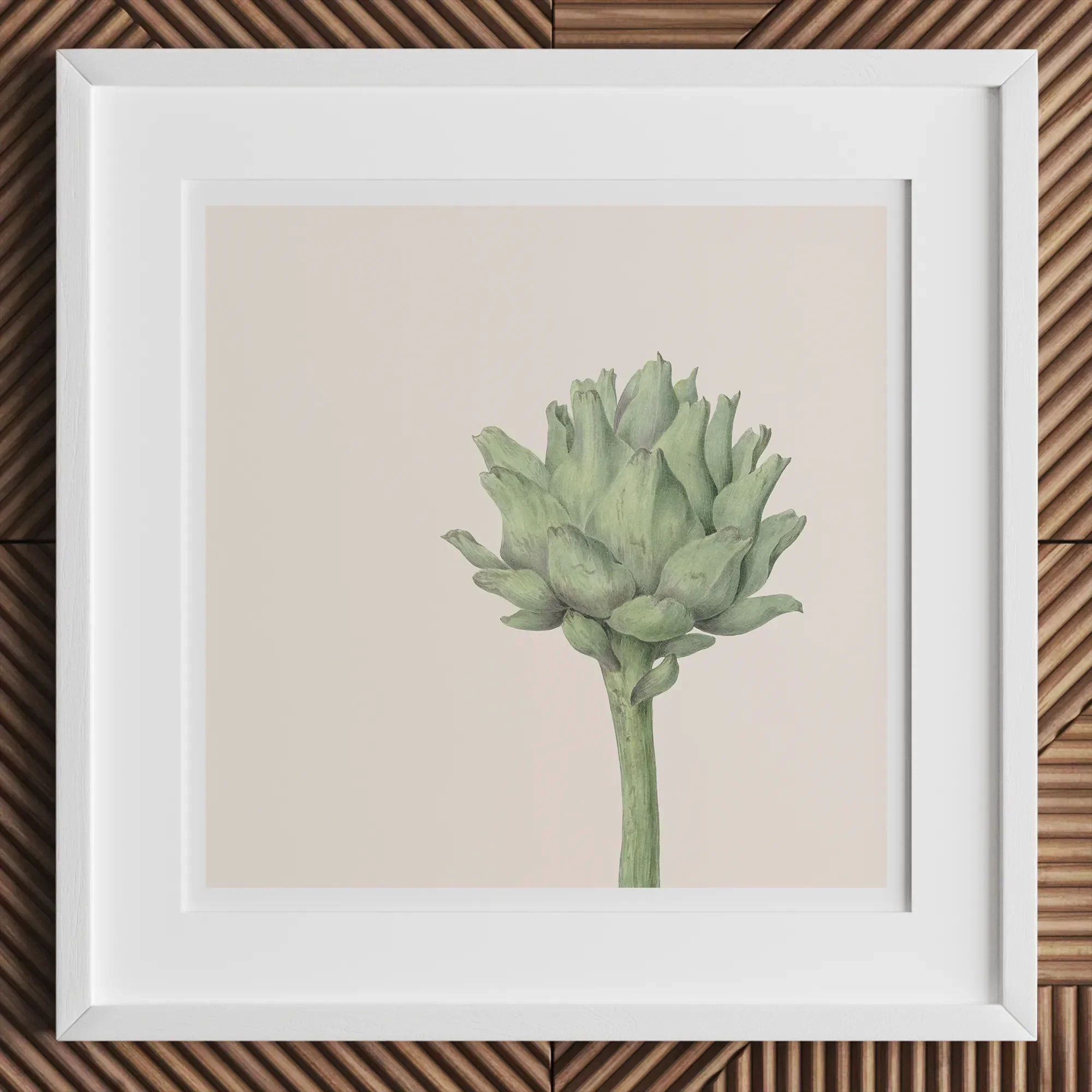 Heartichoke By Jean Bernard - Artichoke Botanical Art