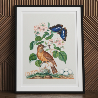 Colorful illustration featuring a bird perched among blue flowers, butterflies, and a seashell.