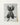Black and white photographic art of a flower by Karl Blossfeldt framed on a wooden background.
