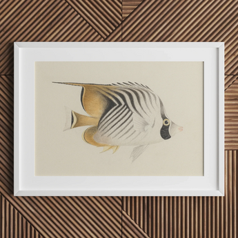 Framed illustration of a colorful tropical fish with green, red, and blue hues.