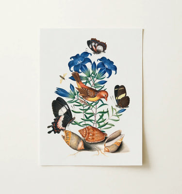 Natural History Wall Art featuring a colorful illustration of birds, butterflies, and flowers framed elegantly.