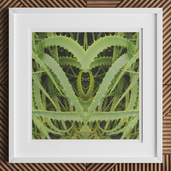 Framed artwork featuring a symmetrical green plant pattern resembling aloe vera leaves.