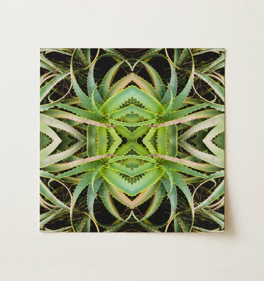 Op Art piece featuring a symmetrical design made from vivid green aloe vera leaves framed elegantly.