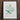 Framed botanical illustration of a green plant with long leaves and a flowering stem.