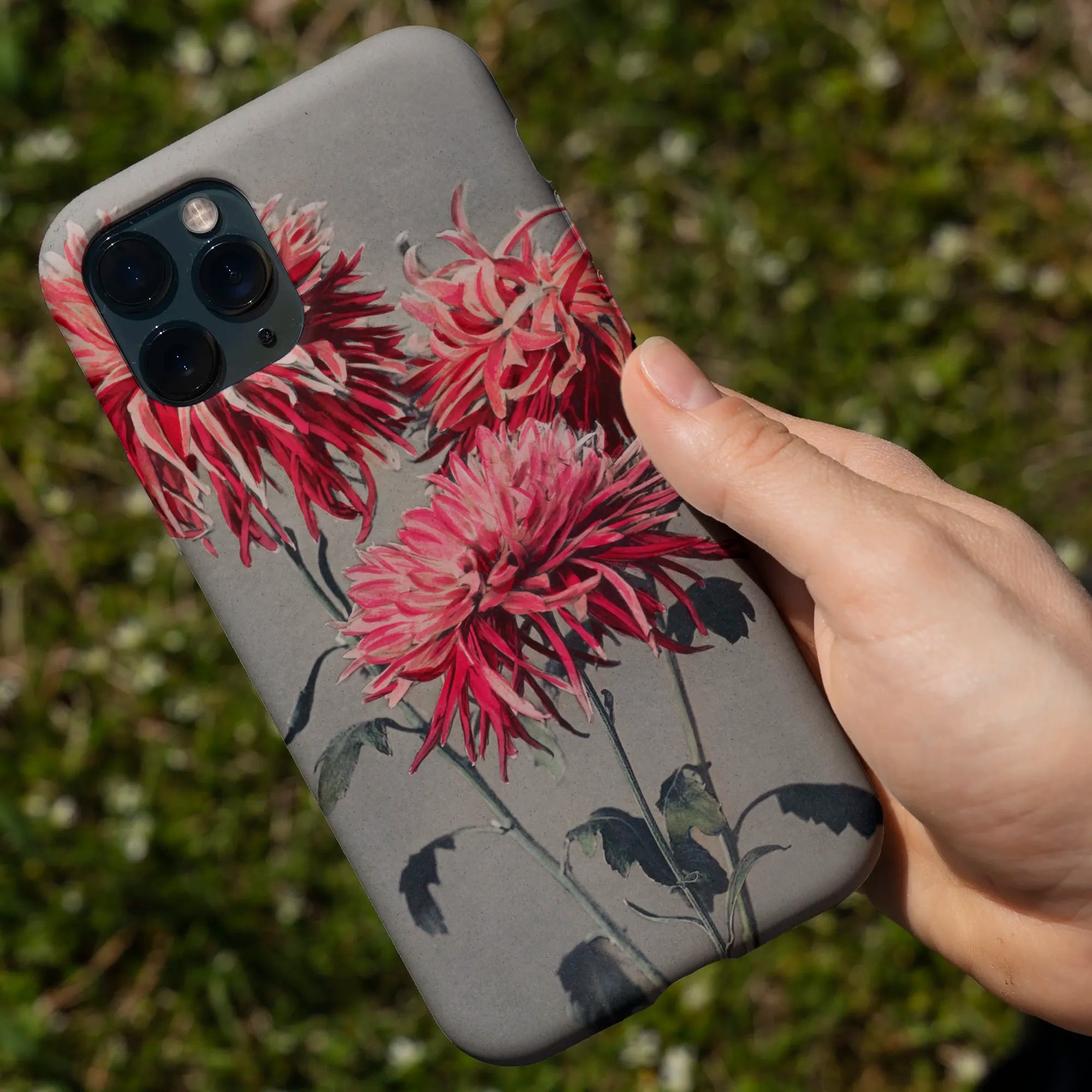 IPhone case featuring a floral design with pink chrysanthemums.