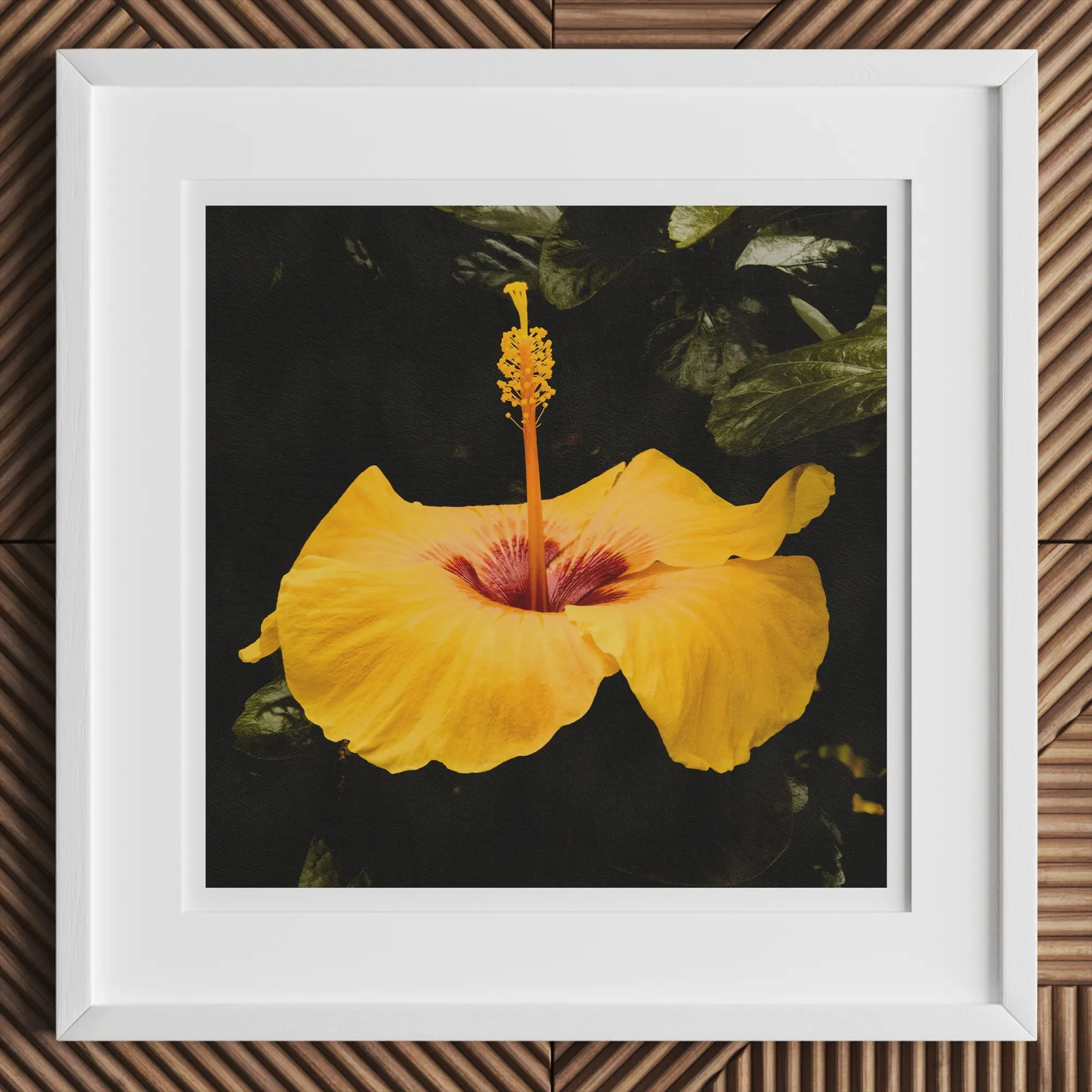 For Sita - Yellow Hibiscus Floral Photography