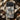 Watanabe Seitei inspired phone case featuring floral patterns on a textured background surrounded by decorative elements.