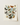 Illustration of various butterflies framed, inspired by the work of William Forsell Kirby.